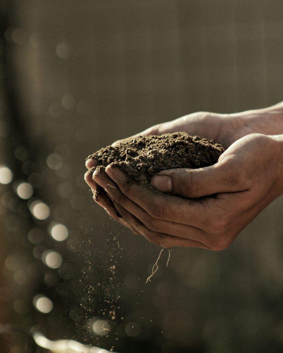 Mãos em concha segurando um punhado de solo, com terra escorrendo entre os dedos